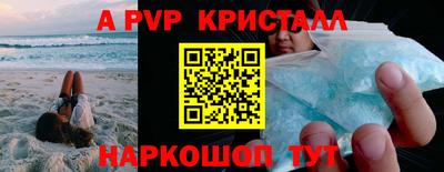 стаф Кунгур